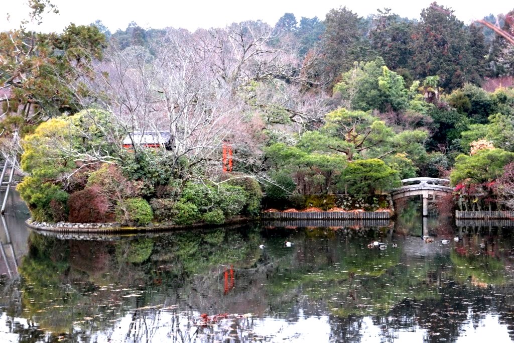 Kyoto - Japao - 2019 (16)