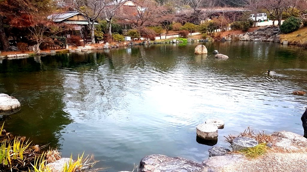 Kyoto - Japao - 2019 (43)