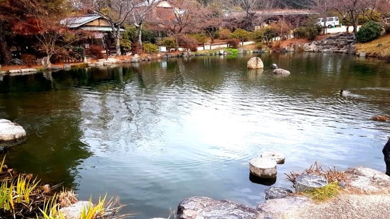 Kyoto - Japao - 2019 (43)