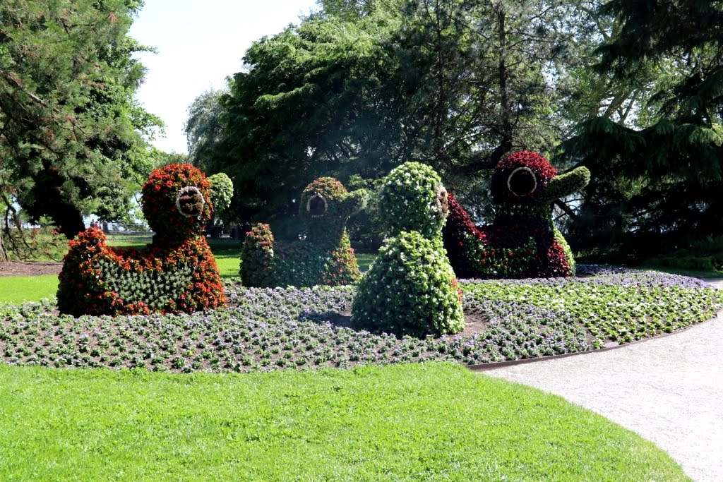 Mainau - Alemanha 2019 (14)