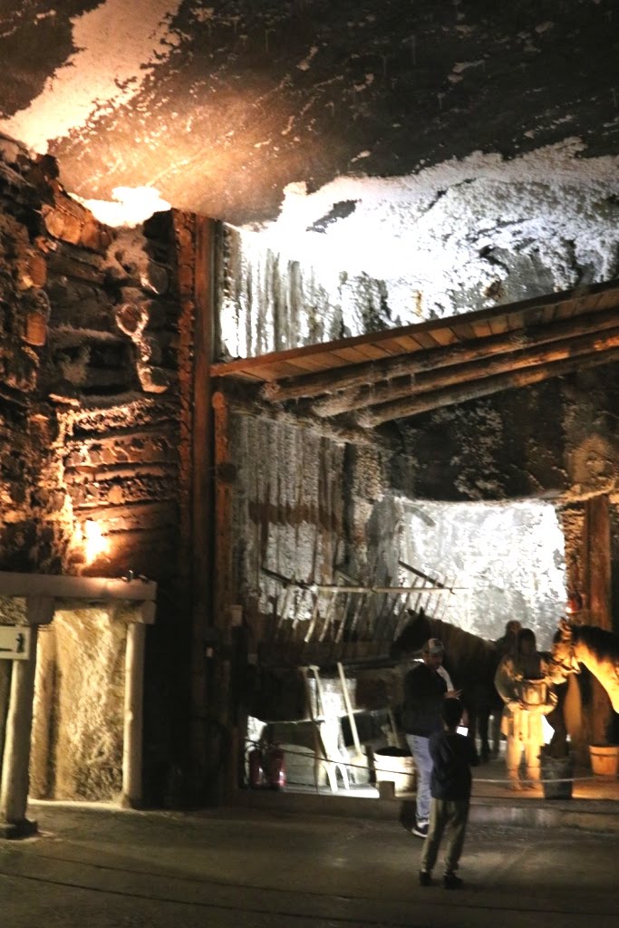 Cracovia 2019 - 2 (3)