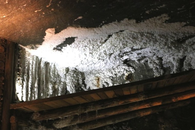 Cracovia 2019 - 2 (4)