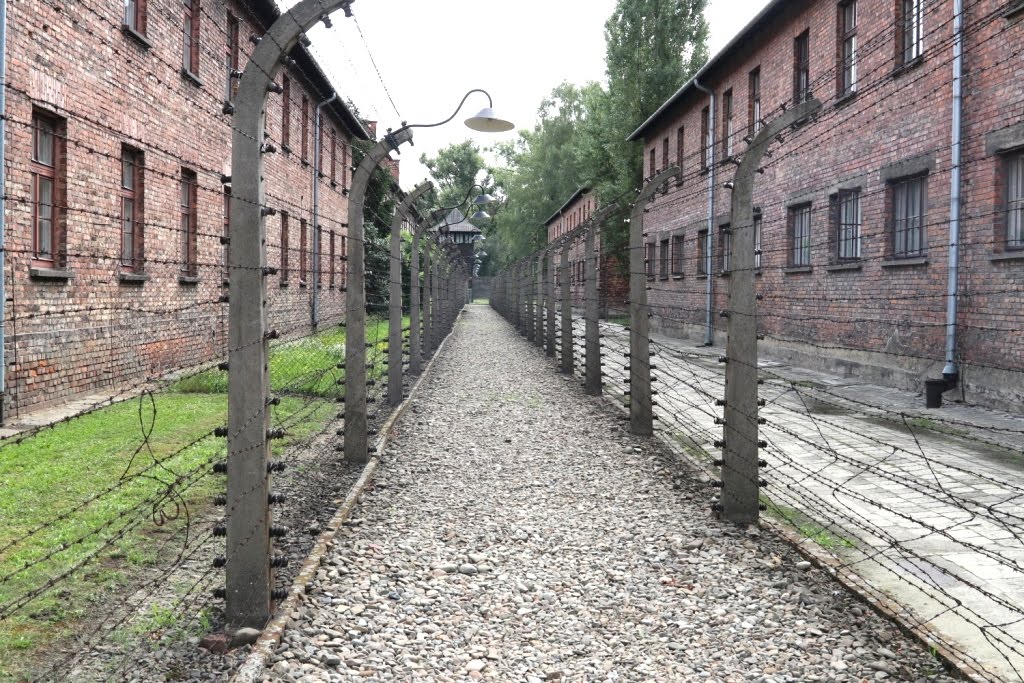 Cracovia 2019 (39)