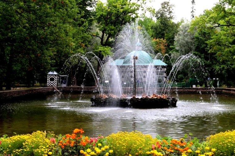 Sao Petersburgo - Peterhof 2019 (13)