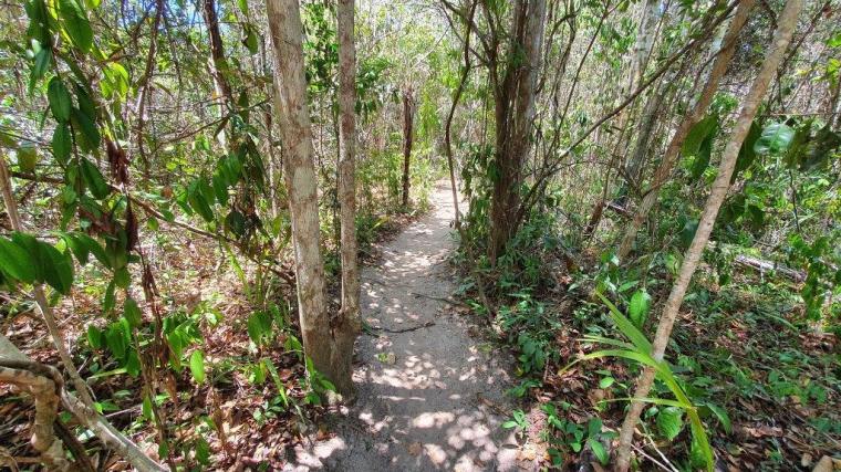 Aldeia Indigena - Porto Seguro 2020 (8)