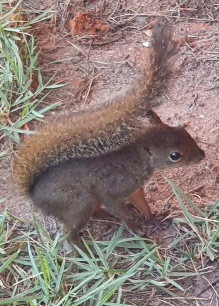 Porto Seguro 2020 (12)