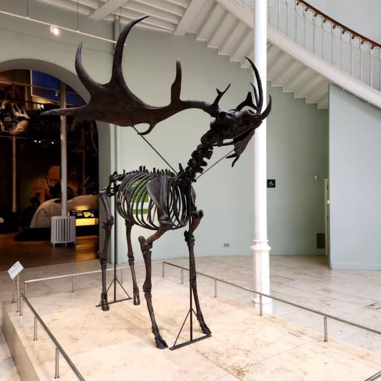 Escocia, Glasgow, Stirling, Ilhas Skye, Lago Ness, Inverness, Edimburgo 2022 (2109)