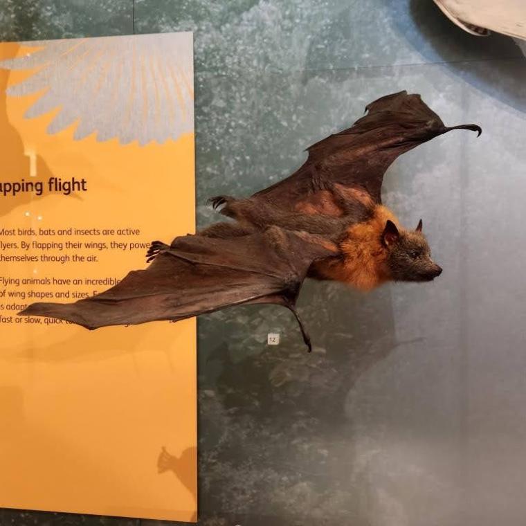 Escocia, Glasgow, Stirling, Ilhas Skye, Lago Ness, Inverness, Edimburgo 2022 (2116)