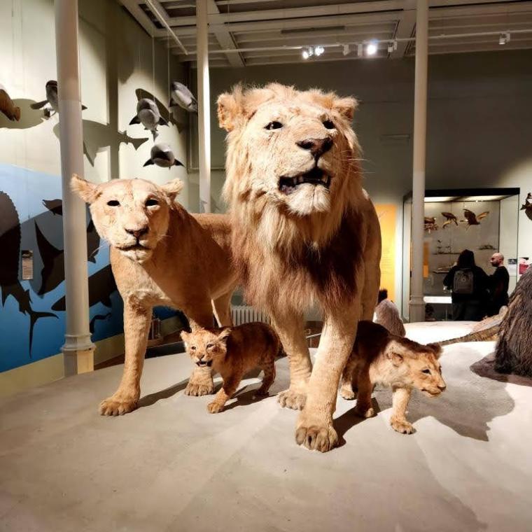 Escocia, Glasgow, Stirling, Ilhas Skye, Lago Ness, Inverness, Edimburgo 2022 (2121)