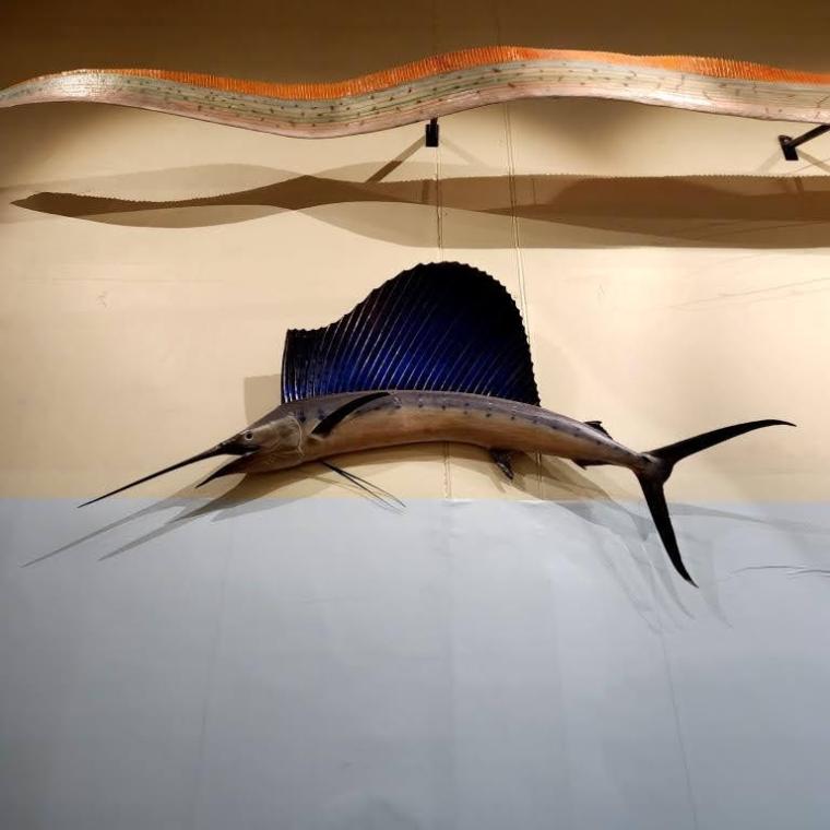 Escocia, Glasgow, Stirling, Ilhas Skye, Lago Ness, Inverness, Edimburgo 2022 (2122)