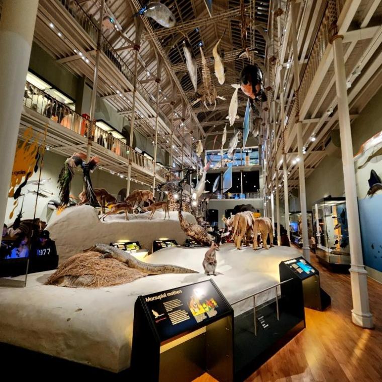 Escocia, Glasgow, Stirling, Ilhas Skye, Lago Ness, Inverness, Edimburgo 2022 (2123)