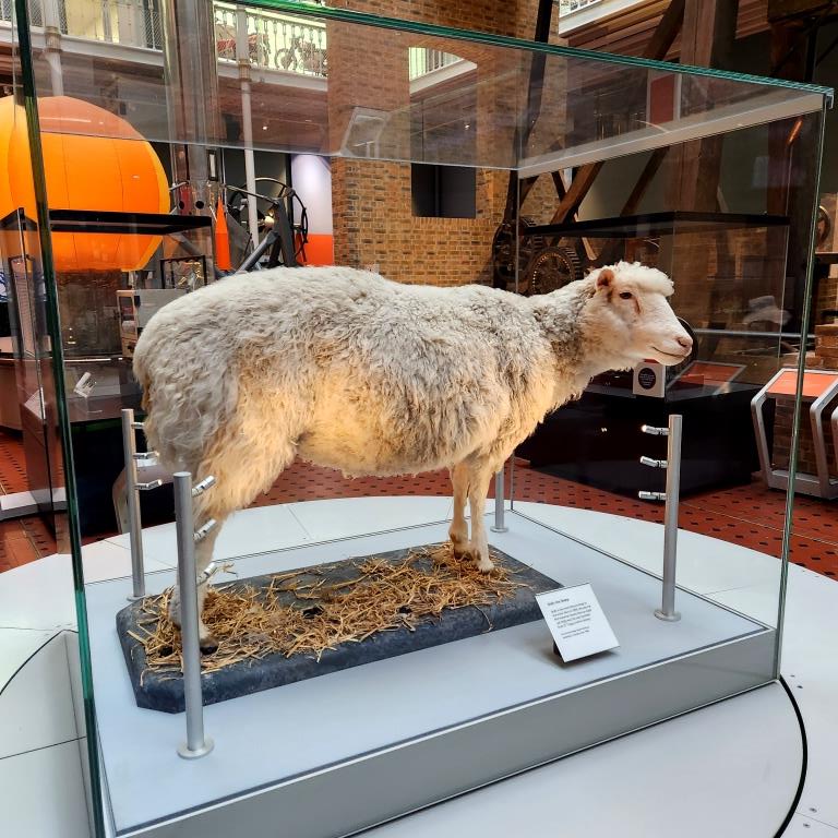 Escocia, Glasgow, Stirling, Ilhas Skye, Lago Ness, Inverness, Edimburgo 2022 (2135)