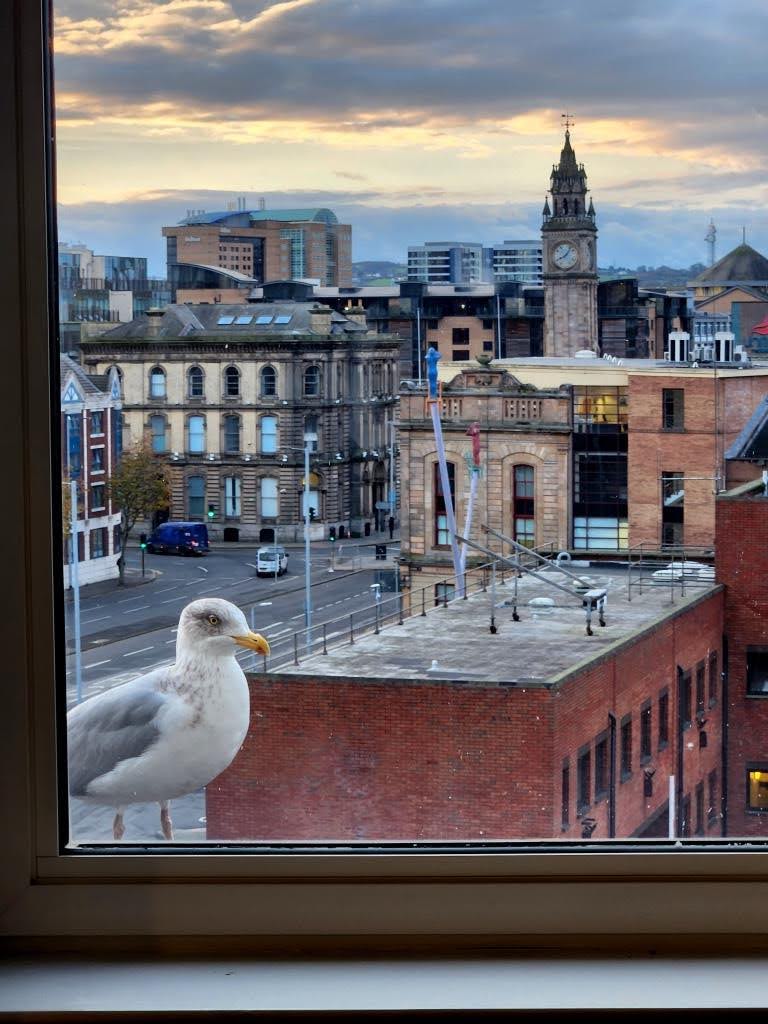 Irlanda do Norte, Causeway, Belfast 2022 (427)