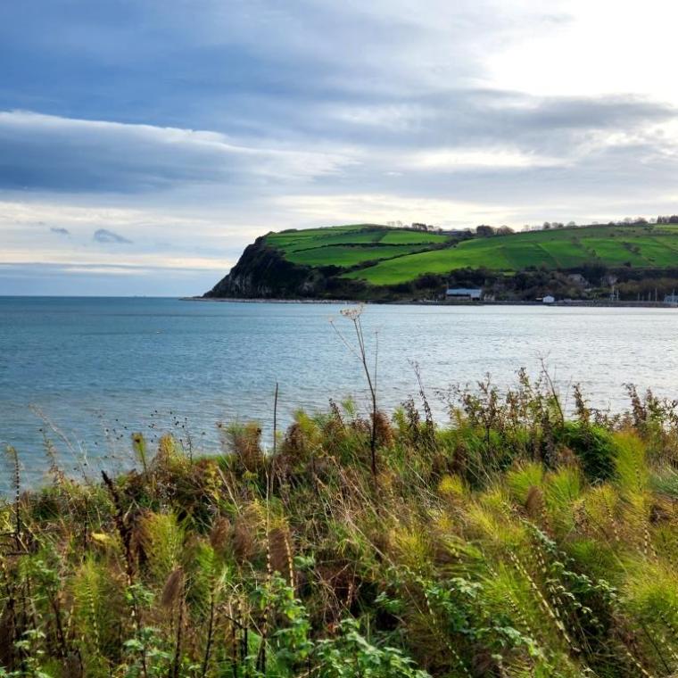 Irlanda do Norte, Causeway, Belfast 2022 (457)