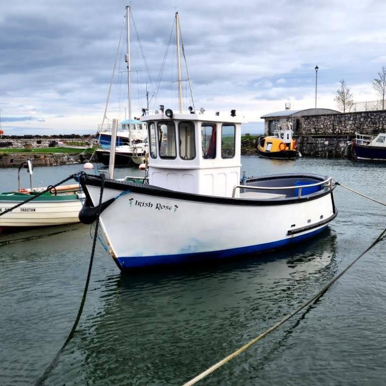 Irlanda do Norte, Causeway, Belfast 2022 (476)