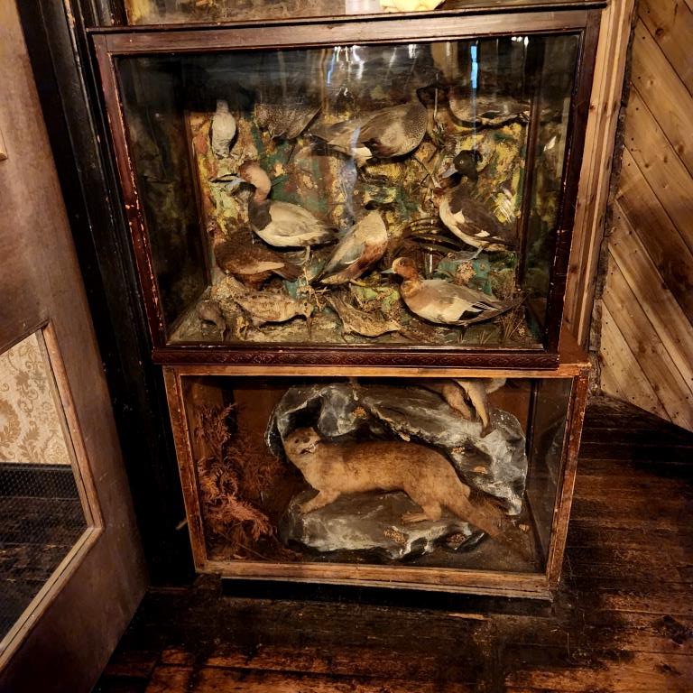 Escocia, Glasgow, Stirling, Ilhas Skye, Lago Ness, Inverness, Edimburgo 2022 (400)