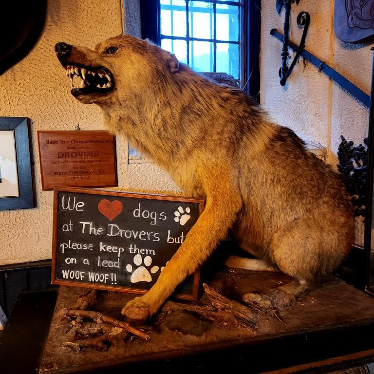 Escocia, Glasgow, Stirling, Ilhas Skye, Lago Ness, Inverness, Edimburgo 2022 (401)