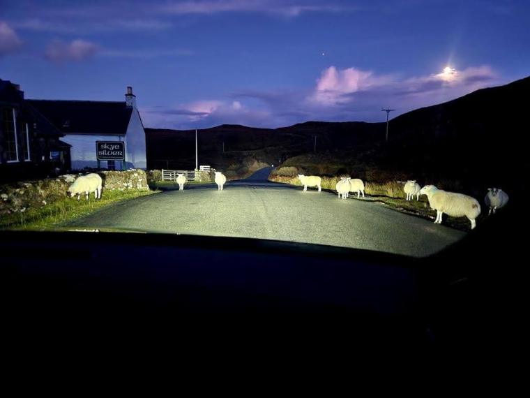 Escocia, Glasgow, Stirling, Ilhas Skye, Lago Ness, Inverness, Edimburgo 2022 (908)