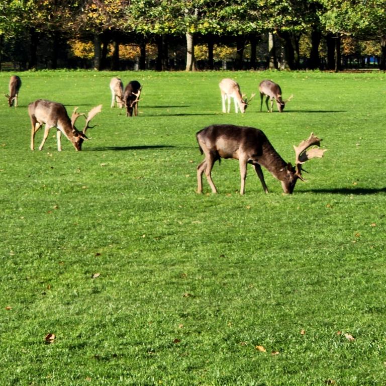 Irlanda, Galway, Dublin 2022 (975)