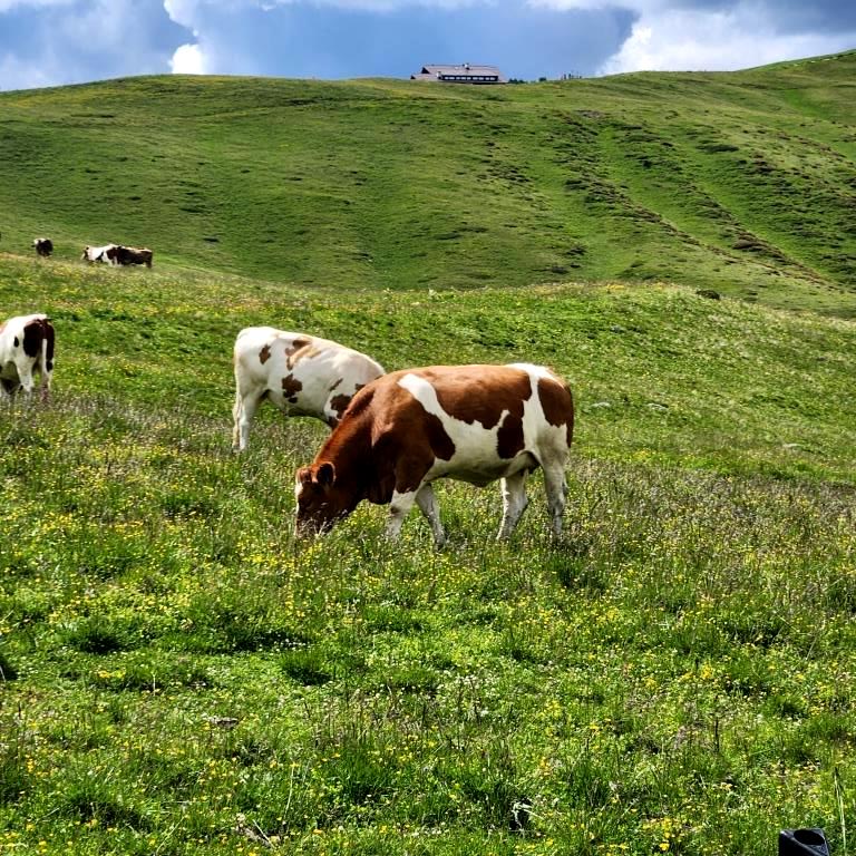 b Cortina dAmpezzo - Dolomitas 2023 (29)