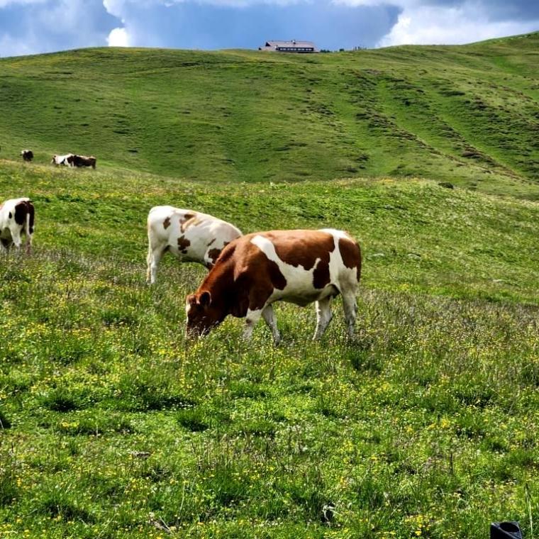 b Cortina dAmpezzo - Dolomitas 2023 (29)