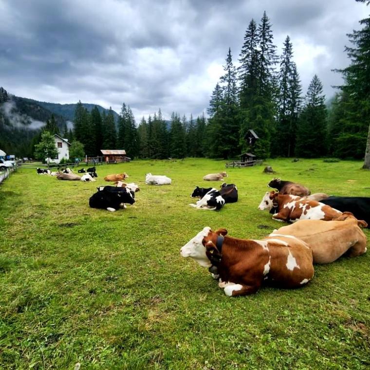 c Lago Braies - Dolomitas 2023 (6)