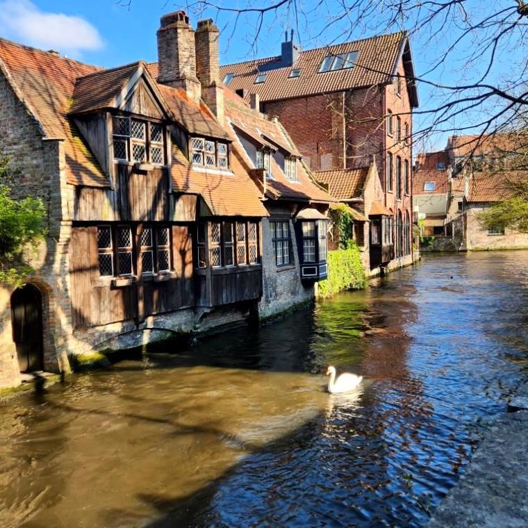 Belgica - Bruges 2023 (113)